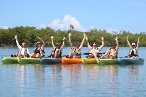 From Naples, FL: Marco Island Mangroves Kayak or Paddle Tour Easy Ride Pedal Kayak Tour