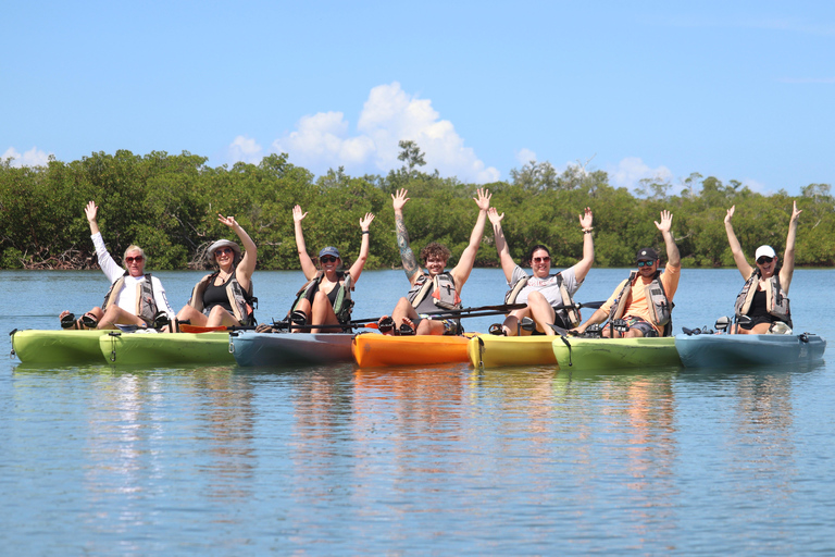 From Naples, FL: Marco Island Mangroves Kayak or Paddle Tour Easy Ride Pedal Kayak Tour