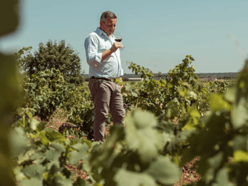 Taranto: Vineyard Walk and Tasting at a Masseria Winery