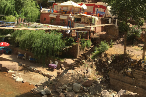 Marrakech: Montañas del Atlas, Valle del Ourika, almuerzo y paseo en camello