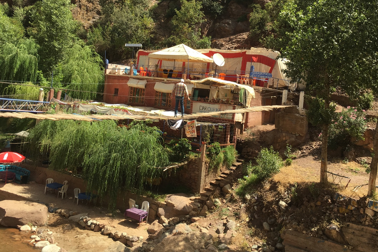 Marrakech: Montañas del Atlas, Valle del Ourika, almuerzo y paseo en camello