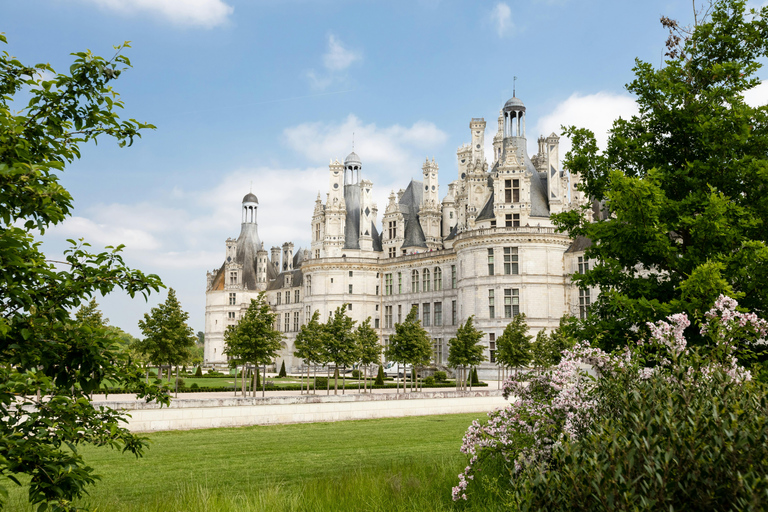 Loire Valley Castles: VIP Private Tour from Paris 3 Castles