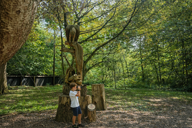 Zoo Safari Thoiry: avventura safari per famiglie e bambini con partenza da Parigi
