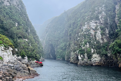 Tsitsikamma Day Trip with Optional Activities