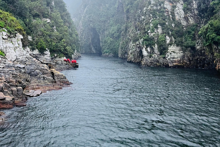 Tsitsikamma Day Trip with Optional Activities