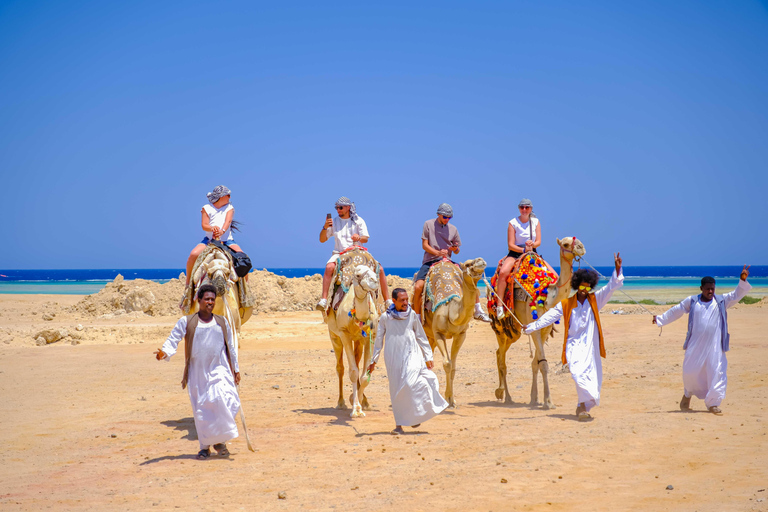 Marsa Alam: Stargazing on the Beach with 4-Ride Safari