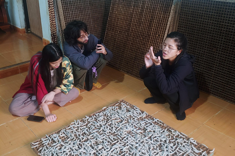 Dalat: piantagione di caffè, fabbrica di seta e tour culturaleDalat: tour tra piantagioni di caffè, fabbriche di seta e cultura