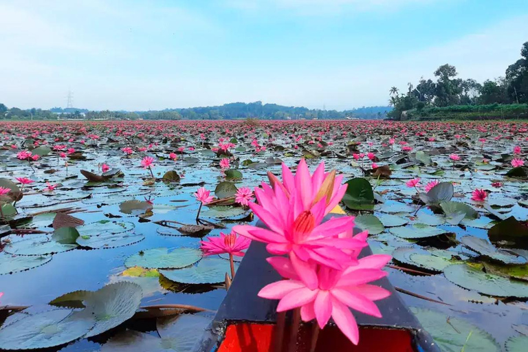 Excursion au point de vue de Malarikkal au départ de Cochin - Le joyau caché du KeralaVisite du point de vue de Malarikkal depuis Cochin, le joyau caché du Kerala
