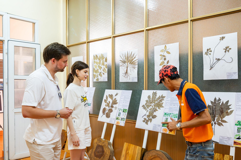 河内：下龙湾至兰哈湾 - 猫巴岛一日游从河内出发，乘坐豪华巴士（22 座）