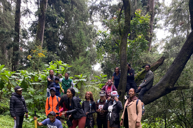 Nachtleben in Addis Abeba