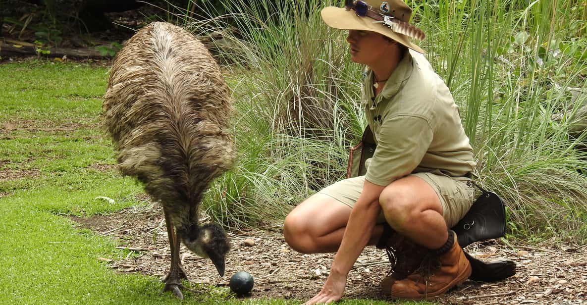 From Darwin: 1 Day Territory Wildlife Park Tour | GetYourGuide