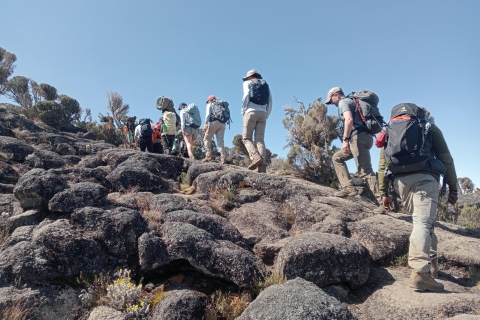 Mount Kilimanjaro: An 8-Day Northern Circuit Trek Expedition