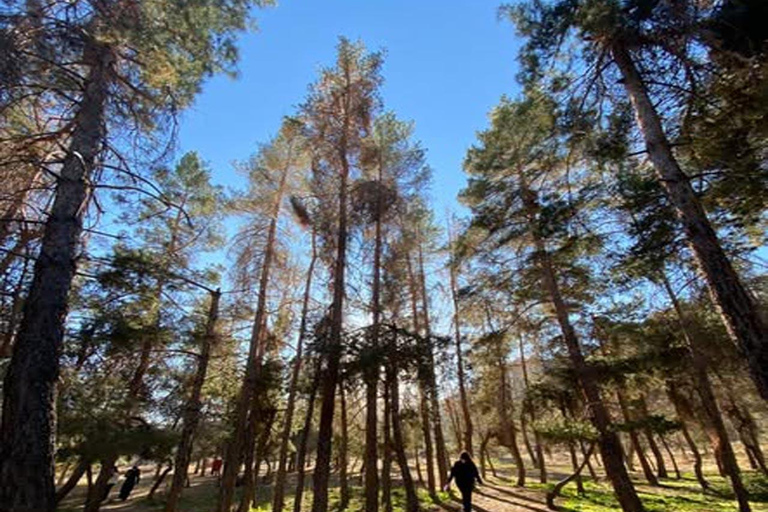 圣地亚哥：瓦莱内瓦多山脉的黄昏 + UFO山谷和野餐圣地亚哥：瓦莱内瓦多山脉日落 + UFO山谷和野餐