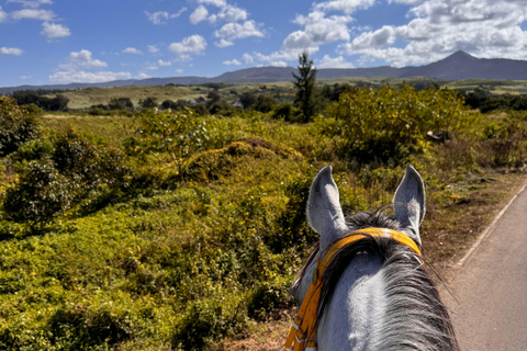 Descubriendo el sur. Paseos a caballo por la playa, excursiones a cascadas.