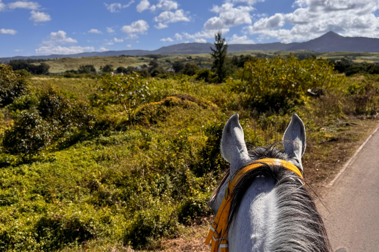 Descubriendo el sur. Paseos a caballo por la playa, excursiones a cascadas.