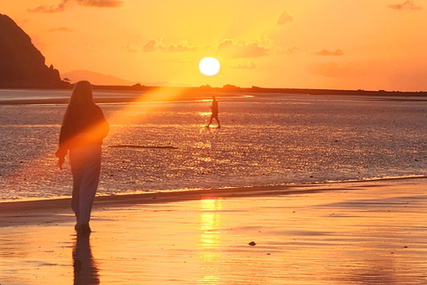 Sunrise with the Kangaroos & Wallabies - Airlie Beach