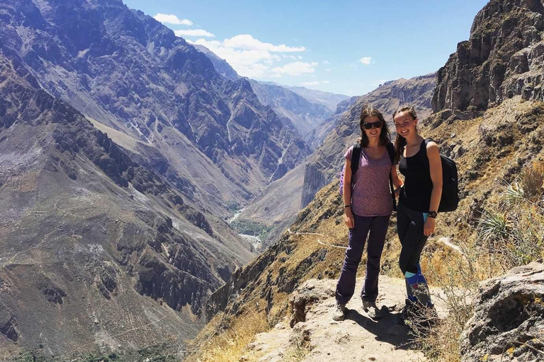 Au départ d'Arequipa : randonnée de deux jours dans le canyon du ColcaDepuis Arequipa : Randonnée de deux jours dans le canyon de Colca