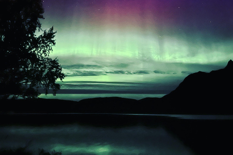 Harstad/Narvik/Tjeldsund: Norrskenssightseeing med bil