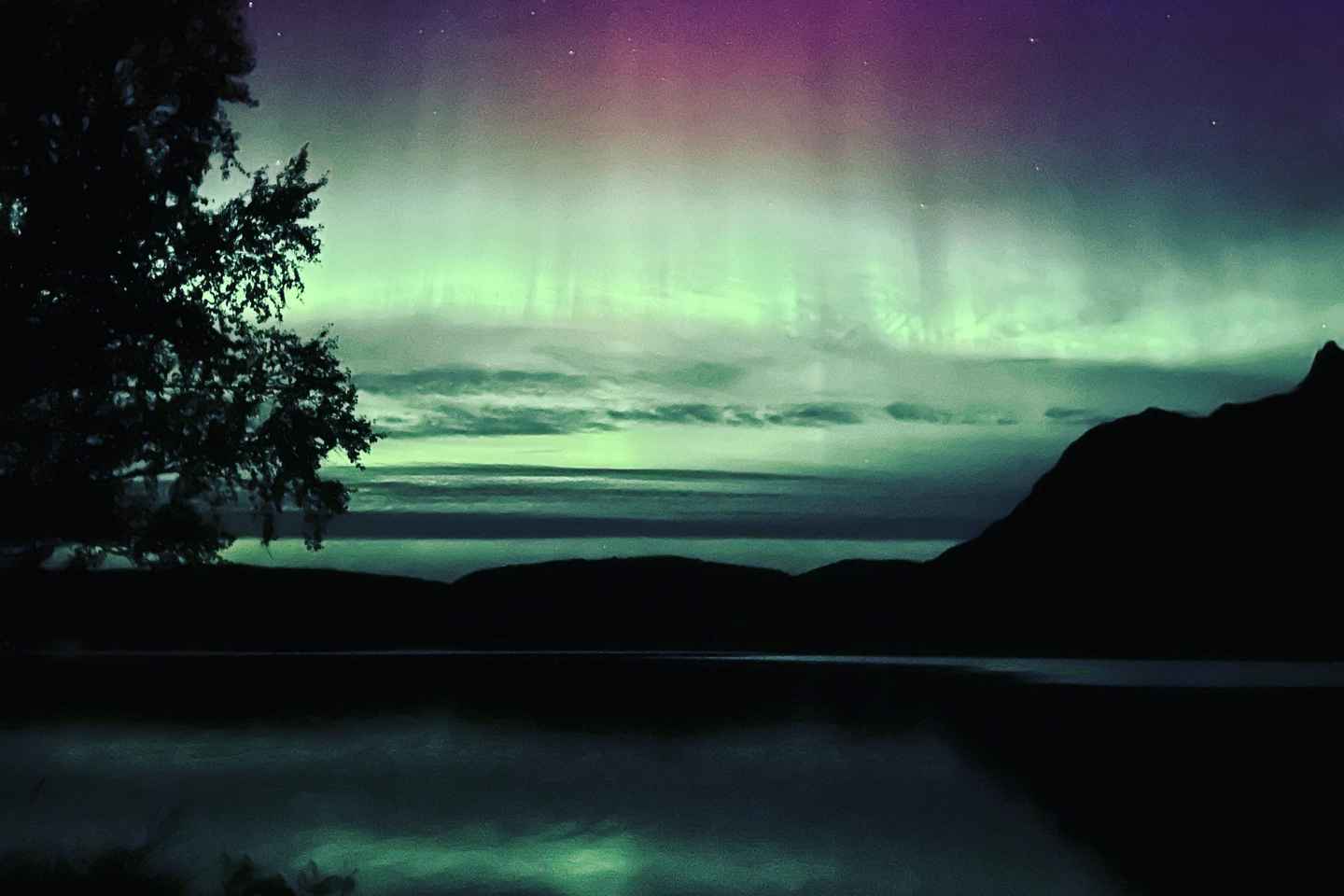 Harstad/Narvik: Northern Lights Tours with Second Day Chance