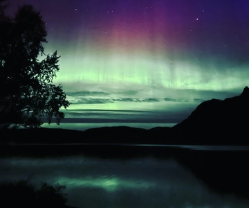 Harstad/Narvik/Tjeldsund: Turismo de auroras boreales en coche