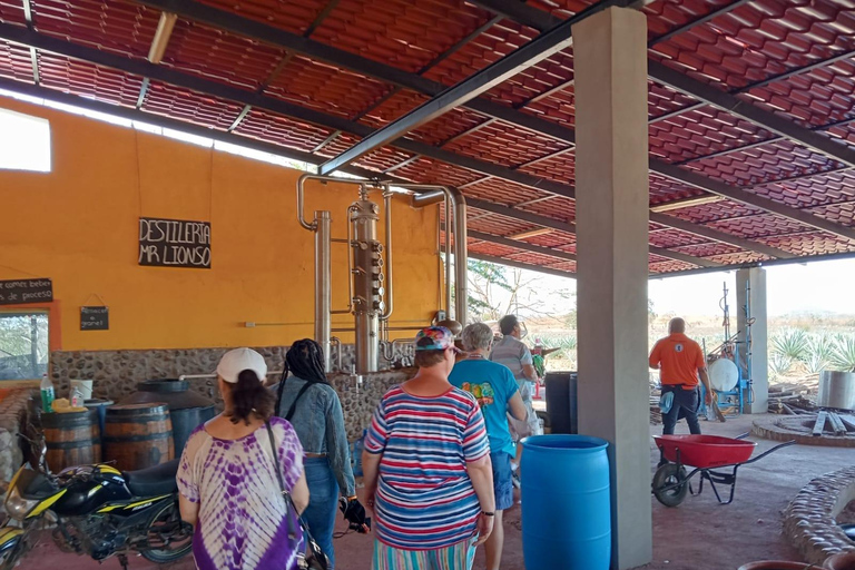 Mazatlan: Mezcal Factory Tour with Tasting and Lunch