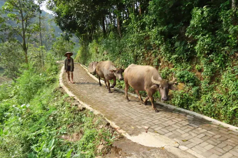 Avventura al Tempio di Selogriyo: trekking tra risaie e rafting sul fiume EloAvventura al tempio di Selogriyo: trekking nella risaia e rafting sul fiume Elo