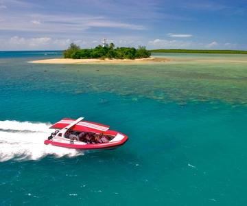 Port Douglas: Low Isles Reef Snorkeling Tour