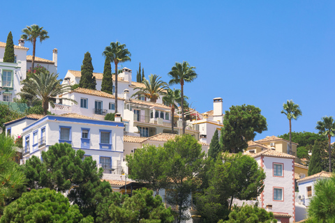 Marbella & Gibraltar Express from Málaga (optional Sightseeing Tour of the Rock & Dolphins) Marbella & Gibraltar Express with DOLPHINS from Muelle Heredia, 2