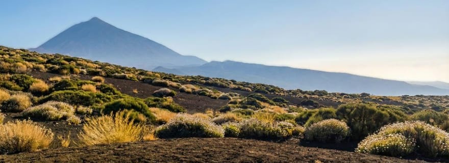 Private Teide & North Tenerife: Volcano, Valleys & Old Towns