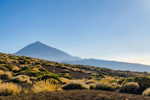 Private Teide & North Tenerife: Volcano, Valleys & Old Towns Afternoon Tour with Sunset Views