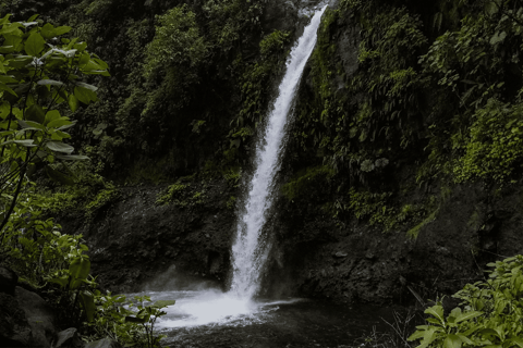 Excursão ao café Poás, Cachoeira La Paz, Grecia e artesanato de SarchíPasseio pelo Café Poás, Cachoeira La Paz, Grecia e Artesanato de Sarchí