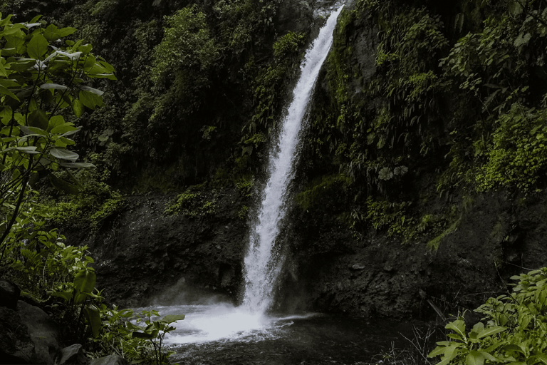 Poas Coffee tour, La Paz Waterfall, Grecia and Sarchí Crafts