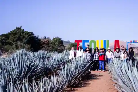 Tour en fabrica de Tequila La Aguirreña con degustación en Tequila, Jalisco