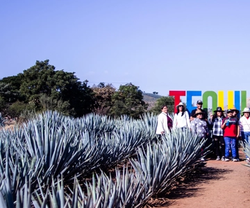 Tour of the La Aguirreña tequila factory with tasting in Tequila, Jalisco.