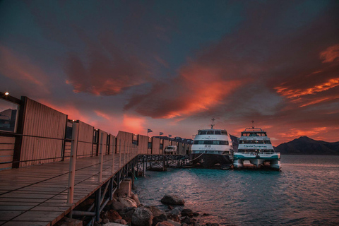 El Calafate: Upsala & Spegazzini Glaciers Cruise with Lunch Cruise with Boxed Lunch and Hotel Pickup