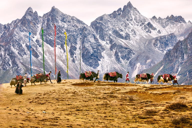 Everest Base Camp & Gokyo Lake Helicopter Flight landing Gokyo Lake Helicopter Flight Tour with Breakfast