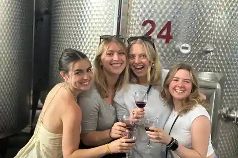 Tbilisi: excursão pela região vinícola de Kakheti com 8 degustações de vinhos