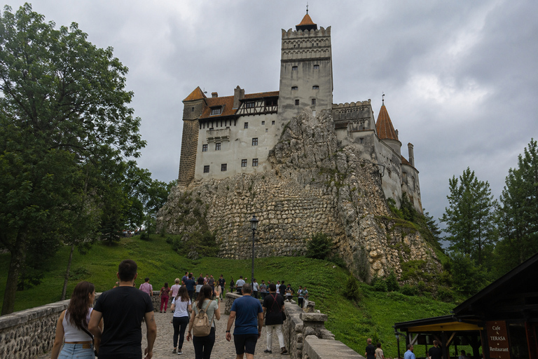 Bucharest: Transylvania Tour Brașov & Dracula's castle private tour