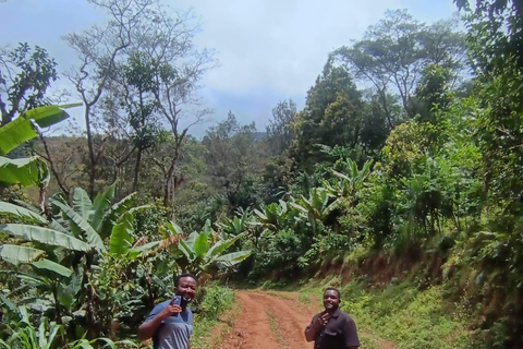 Moshi: Materuni Waterfalls and Coffee Tour with Lunch