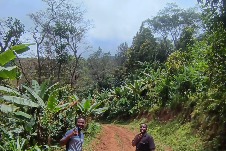 Moshi: Materuni Waterfalls and Coffee Tour with Lunch