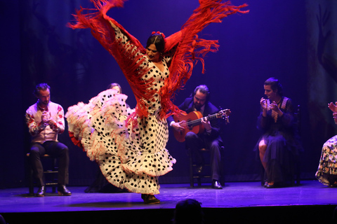 Madri: Apresentação de flamenco ao vivo &quot;EmocionesMadri: Espetáculo de Flamenco &quot;Emociones&quot; Ao Vivo