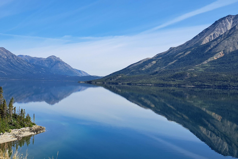 1/2 Day Yukon and Suspension Bridge Adventure