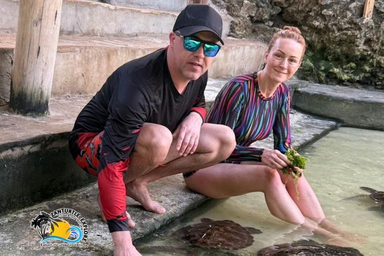 Nungwi: Swimming with Turtles at The Lagoons Zanzibar Hotel Transfers within Nungwi and Kendwa