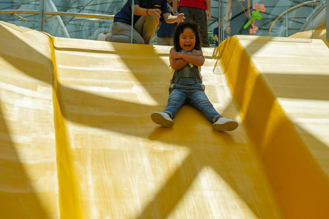 Singapore: Jewel Changi Airport Ticket Mastercard ® Canopy Bridge + Complimentary Canopy Park