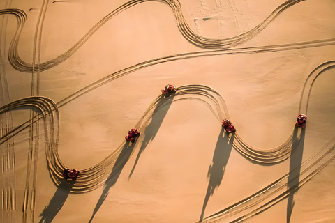 Sydney:Osservazione dei delfini e Sandboarding a Port Stephens