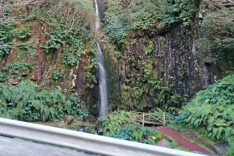 Flower Island: Van Tour