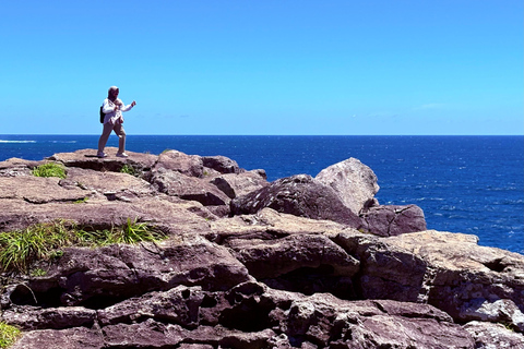 Jeju Trendy Café Tour and When Life Gives You Tangerines