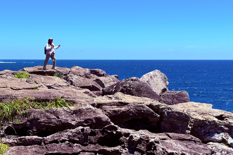 Jeju Trendy Café Tour and When Life Gives You Tangerines
