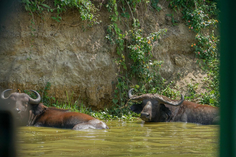 Ouganda : 19 jours de visite de la faune, des paysages et de la cultureCircuit de luxe de 19 jours pour découvrir la faune, les paysages et les cultures de l&#039;Ouganda