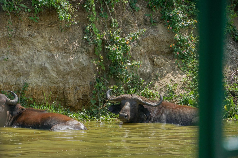 Ouganda : 19 jours de visite de la faune, des paysages et de la cultureCircuit de luxe de 19 jours pour découvrir la faune, les paysages et les cultures de l&#039;Ouganda